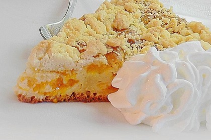 Marillen (Aprikosen) - Rahmkuchen mit feinen Streuseln 15