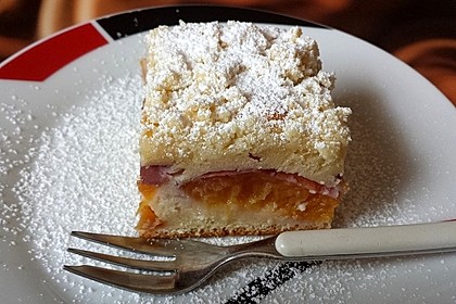 Marillen (Aprikosen) - Rahmkuchen mit feinen Streuseln 10