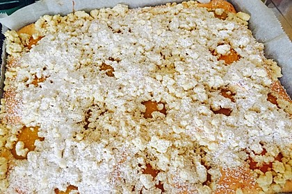 Marillen (Aprikosen) - Rahmkuchen mit feinen Streuseln 19