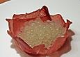 Melonenkaviar