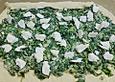 Spinatrolle mit Feta