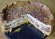 Schmand - Dattel Torte
