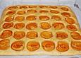 &Ouml;l - Marillenkuchen