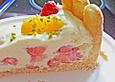Philadelphia Torte Erdbeer - Orange