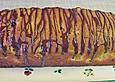 Aprikosen - Schichtkuchen