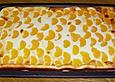 Blitz - K&auml;sekuchen mit Mandarinen vom Blech