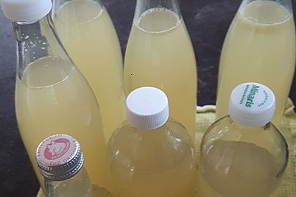 Zitronen - Sirup mit Pfefferminze und Zitronenmelisse 12