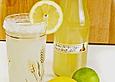 Zitronen - Sirup mit Pfefferminze und Zitronenmelisse