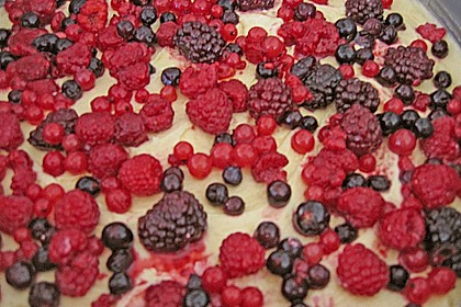 R&uuml;hrkuchen auf dem Blech  - Astrid 1