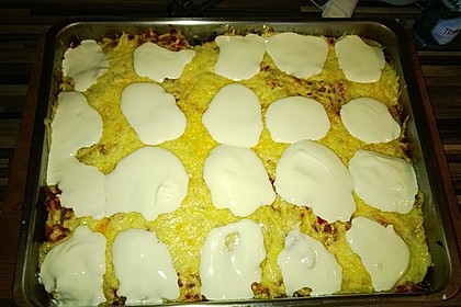Feuermohns feurige überbackene Nachos 45