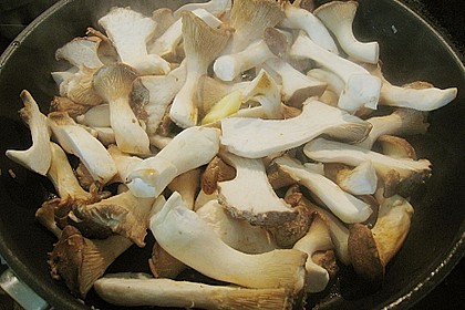 Kr&auml;uterseitlinge mit Pasta