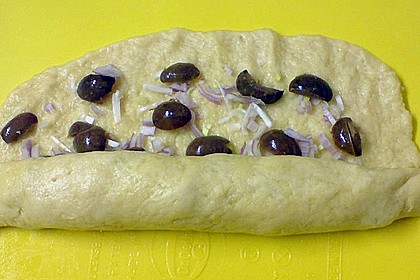 Olivenschnecken 1