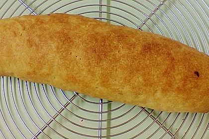 Olivenschnecken 3
