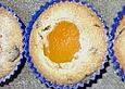 Aprikosen - Muffins
