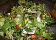 Gemischter Sommer - Salat