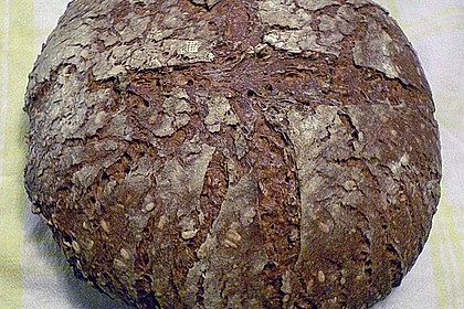 Haferbrot mit Dinkel und Roggen 4