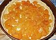 Aprikosenkuchen