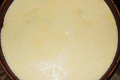 Aprikosenkuchen 1