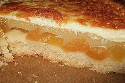 Aprikosenkuchen 3