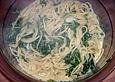 Spaghetti mit Spinat - Sahne - Sauce
