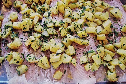 Pangasiusfilet mediterrane Art 12