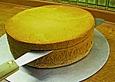Tortenboden (Sandkuchen)