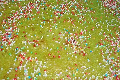 Ringelblumen - Kuchen 4