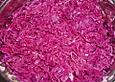 W&uuml;rzger Rotkohl