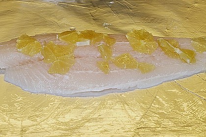 Fisch aus der Folie 13