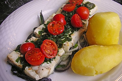 Fisch aus der Folie 5