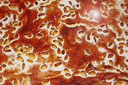 Polenta - Mascarpone - Kuchen