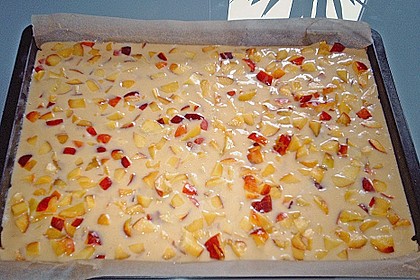 Einfacher Blechkuchen 17