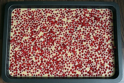 Einfacher Blechkuchen 19