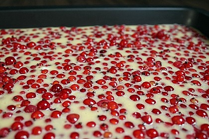 Einfacher Blechkuchen 7