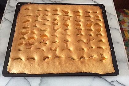 Einfacher Blechkuchen 14