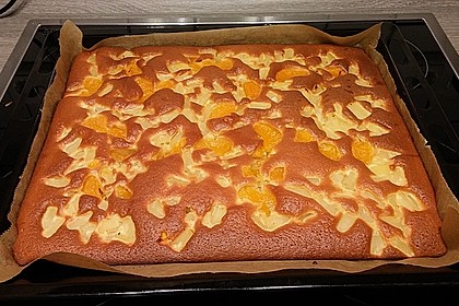 Einfacher Blechkuchen 10
