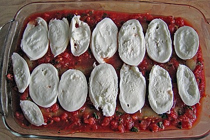 Hanis Cannelloni 2