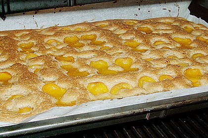 Obstkuchen vom Blech 6