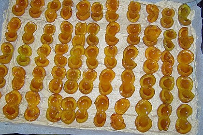 Obstkuchen vom Blech 9
