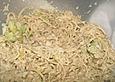 Japanischer Nudelsalat
