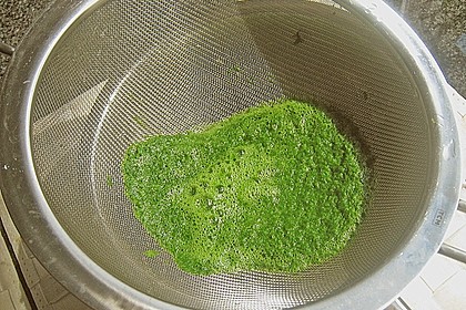 Wachtel an Petersilien - Kartoffelcreme mit M&ouml;hren und Romanesco 2