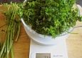 Schellfischtranche auf Petersilienwurzelschaum mit Romanesco und M&ouml;hren