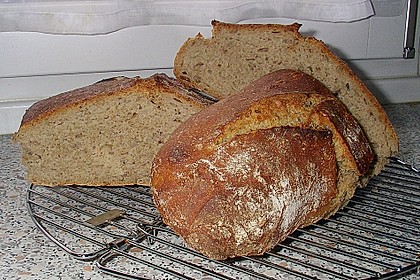 Elkecarolas Alltagsbrot 120