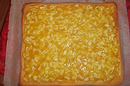 Schnitte Altbaerli 166