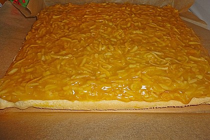 Schnitte Altbaerli 147