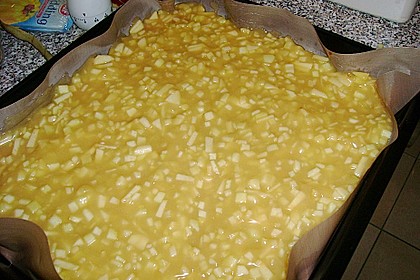 Schnitte Altbaerli 165