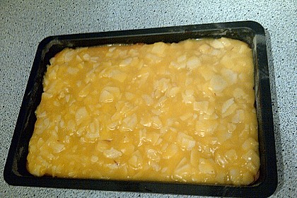 Schnitte Altbaerli 159