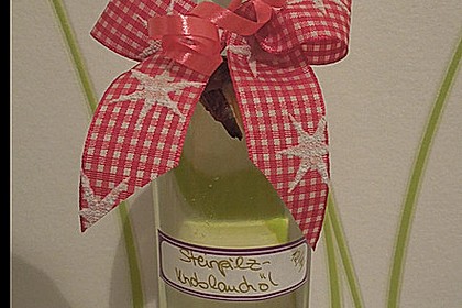Steinpilzöl 10