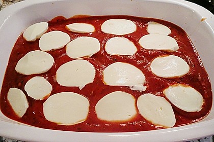 Tomaten - Mozzarella - Schnitzel 13