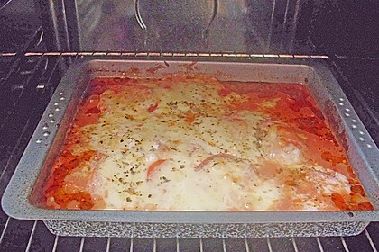 Tomaten - Mozzarella - Schnitzel 17